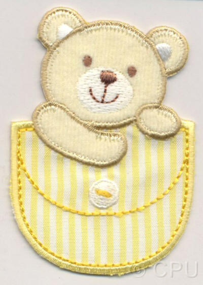 Bear in Bag 