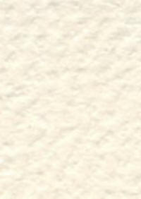 Oval White Texture