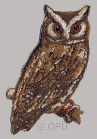 Owl with Brown Eyes 