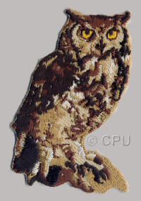 Owl with Yellow Eyes 
