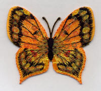 Golden Butterfly 