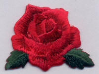 Rose and Leaves 
