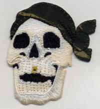 Skull in Bandana 