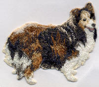Sheltie Dog 